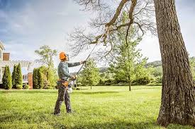  Red Bud, IL Tree Removal and Landscaping Services Pros